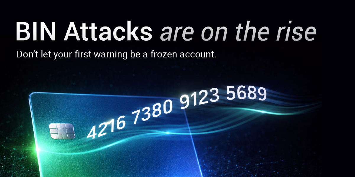BIN Attacks Are Rising – Why Partners Should Care